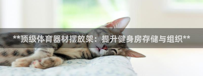富联申购什么时候开盘：**顶级体育器材摆放架：提升健