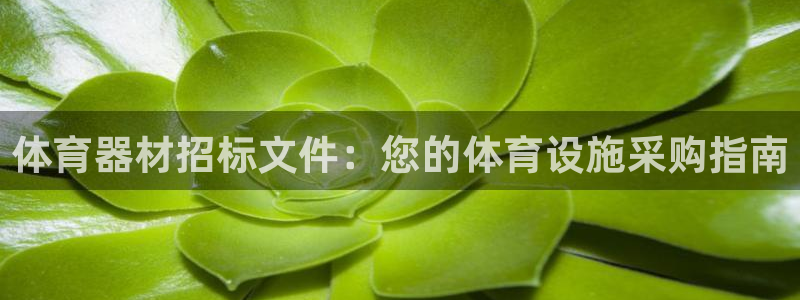 富联娱乐玩法机制介绍：体育器材招标文件：您的体育设施