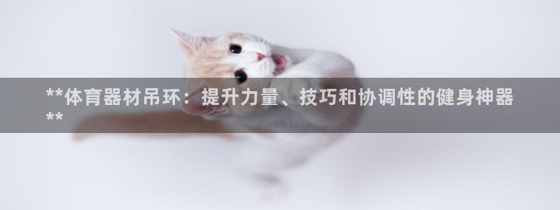 富联小区：**体育器材吊环：提升力量、技巧和协调性的