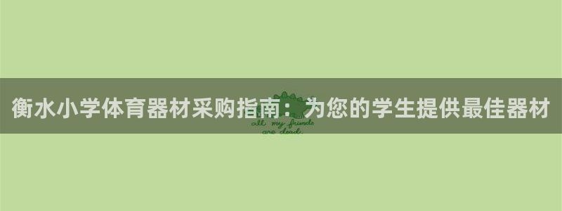 富联平台登录注册：衡水小学体育器材采购指南：为您的学生提供最
