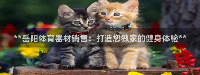 富联平台登录注册不了：**岳阳体育器材销售：打造您独