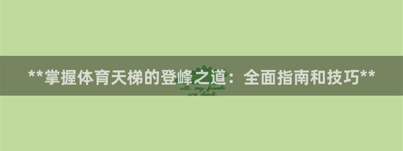 富联娱乐平台能挣到钱吗安全吗：**掌握体育天梯的登峰之道：全