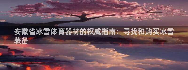 富联什么意思：安徽省冰雪体育器材的权威指南：寻找和购买冰雪
