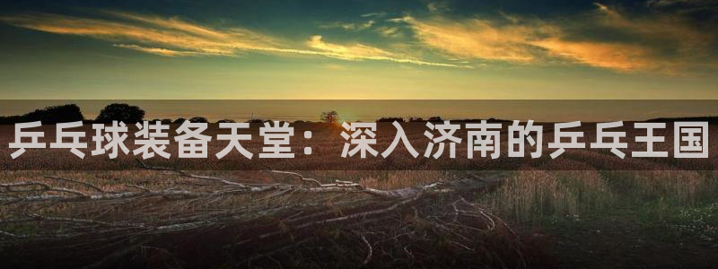 富联平台网站：乒乓球装备天堂：深入济南的乒乓王国