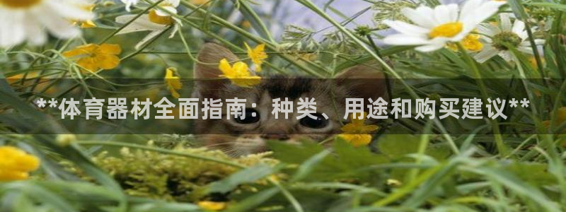 富联平台官网登录入口手机版：**体育器材全面指南：种类、用途