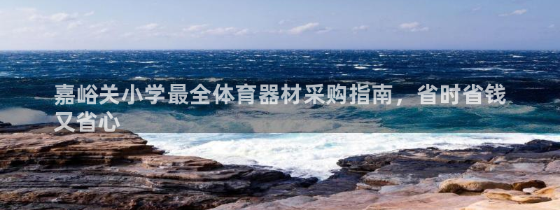 富联平台系 5O6917 富联：嘉峪关小学最全体育器