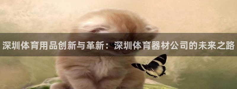 富联平台马 411O31 富联：深圳体育用品创新与革新：深圳