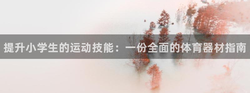 富联娱乐登录注册流程：提升小学生的运动技能：一份全面的体育器