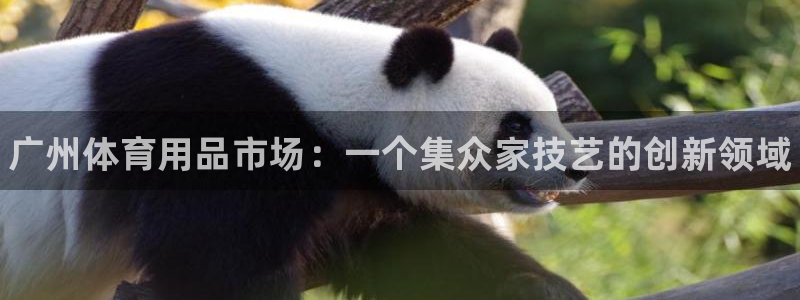 富联地产怎么样：广州体育用品市场：一个集众家技艺的创