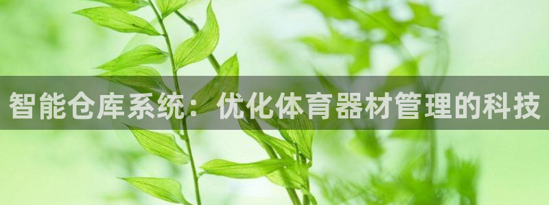 富联娱乐代理怎么做的：智能仓库系统：优化体育器材管理