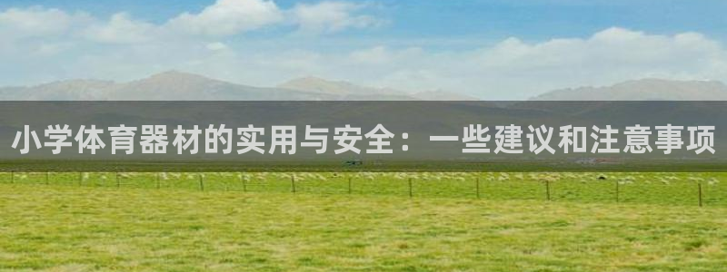 富联娱乐服务站地址：小学体育器材的实用与安全：一些建议和注意