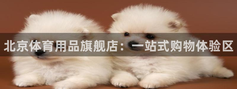 富联官方网站下载：北京体育用品旗舰店：一站式购物体验