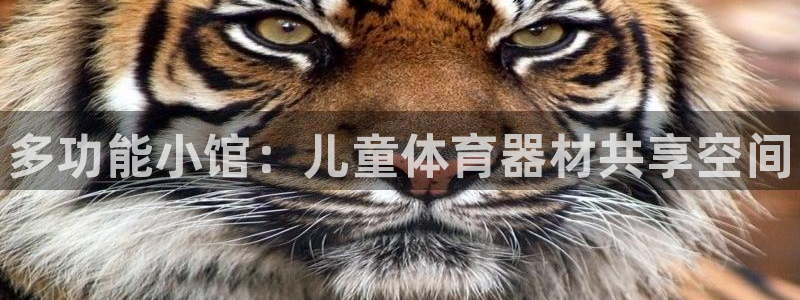 富联平台认 585341 富联：多功能小馆：儿童体育器材共享